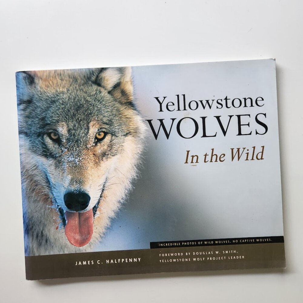 Yellowstone Wolves in the Wild by James Halfpenny Paperback Book 9781931832267 P
